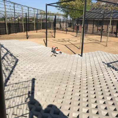 Hondenkennel Tegels Tegen Graven (na)