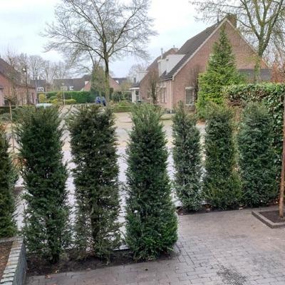 6 Voortuin Bestrating Inritten Gereed Vanuit Achterzijde